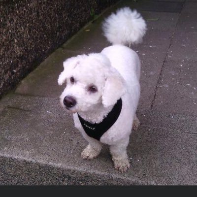 moon999333's profile picture. Lover of Animals 🦁 Food 🍱 Travel 🧳 Music 🎶