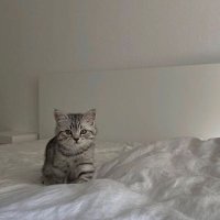 kochengme_ong (@kochengme_ong) 's Twitter Profile