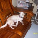 ellen guzman - @sasi_lady - Twitter