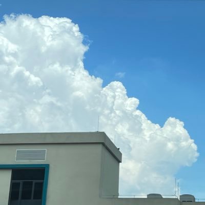 ZPMB0qW7Ga51081's profile picture. 