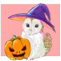 紺野ちゃす🦉 (@konno_chas) 's Twitter Profile Photo 紺野ちゃす🦉 (@konno_chas) 's Twitter Profile Photo