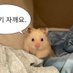 마로 부계의 부계 (@jinjjamaro) Twitter profile photo 마로 부계의 부계 (@jinjjamaro) Twitter profile photo