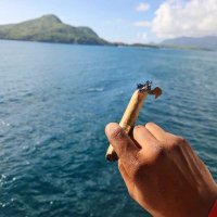 paid2cook (@liveiicook) 's Twitter Profile Photo