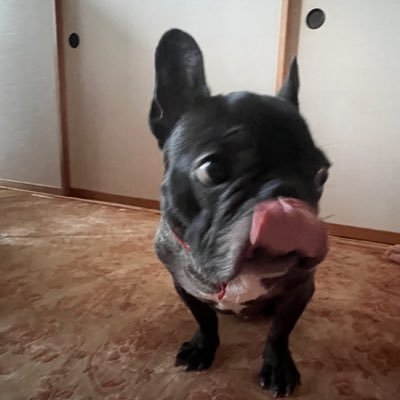 ram_0614's profile picture. 期待しない、気にしない、私は悪くない