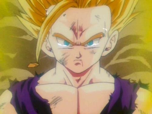 fill d'en Son Goku i ChiChi. Entrenat pel meu gran amic Cor Petit. Guanyador del torneig d'en cel.lula...