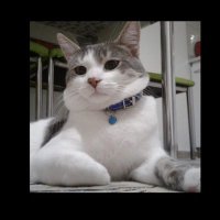 Ümmühan İşleyen (@ummuhan_is3106) 's Twitter Profile Photo Ümmühan İşleyen (@ummuhan_is3106) 's Twitter Profile Photo