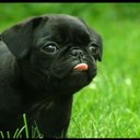 Dillon sawyer - @Pdsdsawyer - Twitter