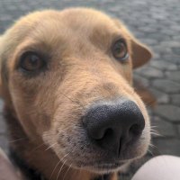 Activist Welly 💗🌷🧁🏩👧🏾 (@volkswagenghana) 's Twitter Profile Photo Activist Welly 💗🌷🧁🏩👧🏾 (@volkswagenghana) 's Twitter Profile Photo