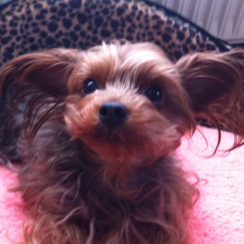 go_mako's profile picture. 北国の住人です。 NUTS RV のバンコンLeekからボーダーバンクスに乗り換え、キャンプに車中泊をしています。お気軽にお声掛け下さい