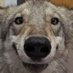 g3ndr.bsky.social (@gender_98) Twitter profile photo g3ndr.bsky.social (@gender_98) Twitter profile photo