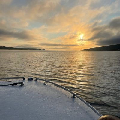 sailorman596's profile picture. 