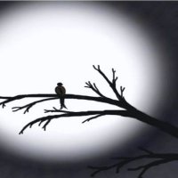 sözbizimle (@sozbizimle36) Twitter profile photo