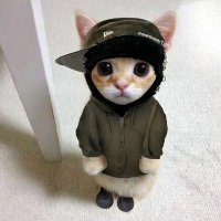 rotti!! (@cxsti2) 's Twitter Profile