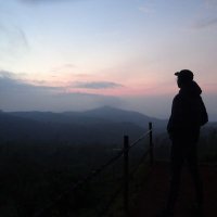 Squeeze (@squeeze_trader) 's Twitter Profile