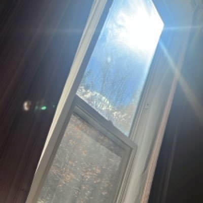 gabbytdot's profile picture. 