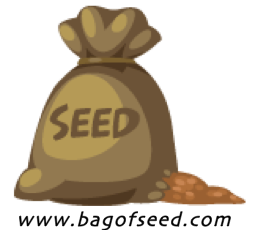 bagofseed's profile picture. I created my website because of the amazing results I have received from meditating on the Word of God.  Now, I want to help others have those results too!