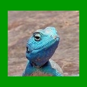 _hg_x's profile picture. Now is the time:  A better life for all | it / its