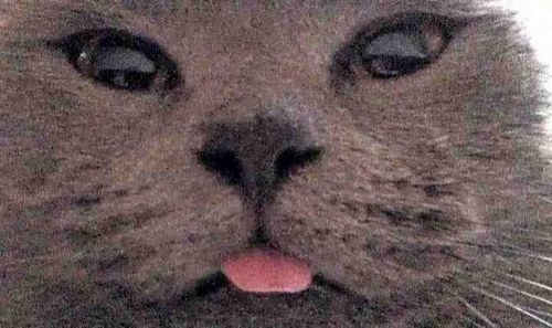 atm333amt's profile picture. Married to the amazing Mandy Taylor. The most inspirational woman you are likely to meet.