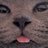 atm333amt's profile image