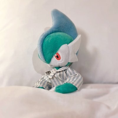 ポケモン垢 ◓⃙ ぬい活だいすきなカントー地方のトレーナー ▼ エルレイドのヘルツと一緒におでかけを楽しんでます🍀.⋆ 最愛はフシギダネ🌱💚 ポケモングッズやポケポケの交換ポストもします◎