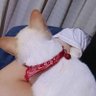 Lukkade_WP's profile picture. บางวันก็เป็นตัวเอง บางวันก็เป็นสาววาย
#mable_siriwalee​ l #pangjiewr | #TKphinyanech​
ดู GL หลายเรื่องมาก RT เยอะด้วยจ้า