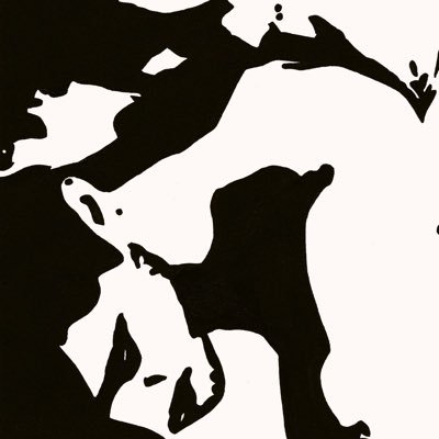 flammableracoon's profile picture. 