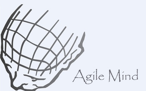 AgileM's profile picture. 