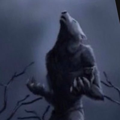 WynWhyさんのプロフィール画像