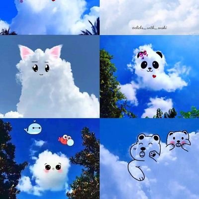 som5023's profile picture. student