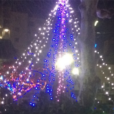 na_yoshi1's profile picture. 