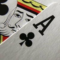 I (@tuiipoll) 's Twitter Profile Photo