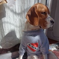 La Piba Del Rojo (@lapibadelrojo23) 's Twitter Profile