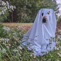 S. G. Yue (@sgyuewrites) 's Twitter Profile Photo S. G. Yue (@sgyuewrites) 's Twitter Profile Photo