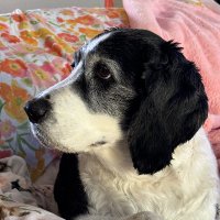 Kathleen Sherman (@kathlee26065261) 's Twitter Profile