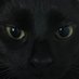 If you Think Cats are Awesome (@animalwadorable) Twitter profile photo If you Think Cats are Awesome (@animalwadorable) Twitter profile photo