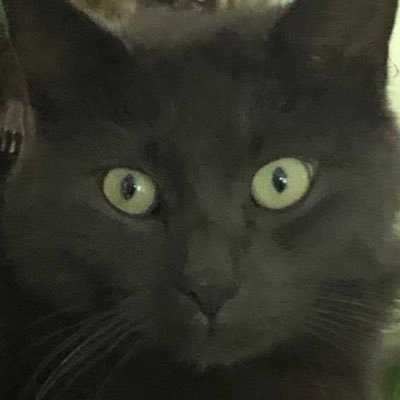 Susan_1954's profile picture. 