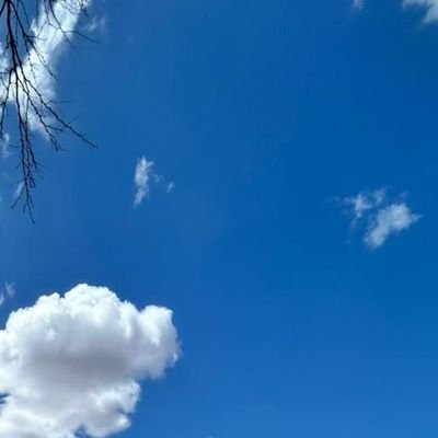 rondy_sm's profile picture. roscofe.