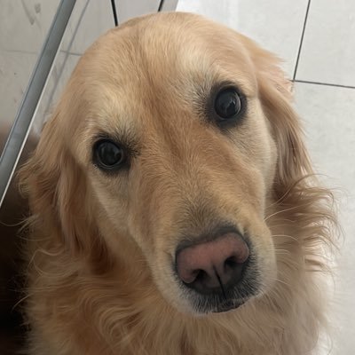 EvaSarahLeigh's profile picture. 