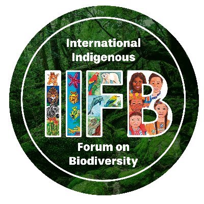 IIFB Profile