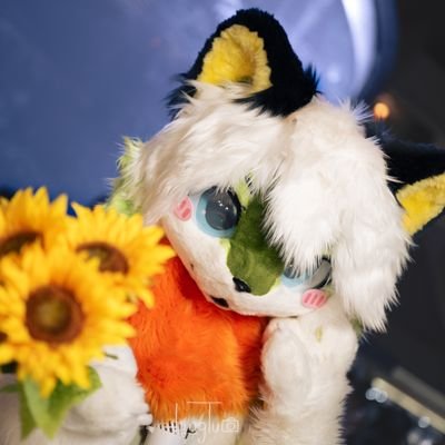 akeeさんのプロフィール画像