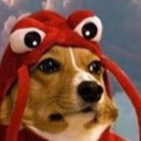 Machine Gun Kevin (@thefavgrandson_) 's Twitter Profile Photo Machine Gun Kevin (@thefavgrandson_) 's Twitter Profile Photo