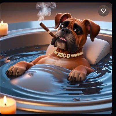 XdcDog's profile picture. XDC DOG Is a dog with a really bad wind problem 😹She is a meme dog build for fun for on the XDC network in association with https://t.co/v6fdwjhWG7 👏🏻 $XDCD #xdc