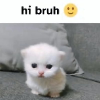 PorterWard3660's profile picture. hi bruh 🙂