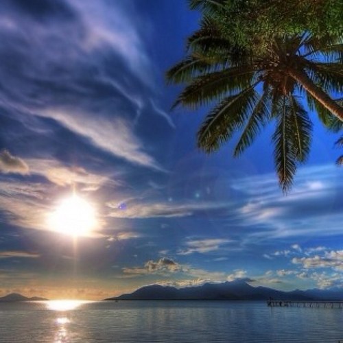 SuccessNHealth's profile picture. My Heart is to EMPOWER others, know they are Valued and have Purpose,Build Businesses &Legacy that  Far Outlives Them. Find Me on FACE BOOK~Be Blessed!