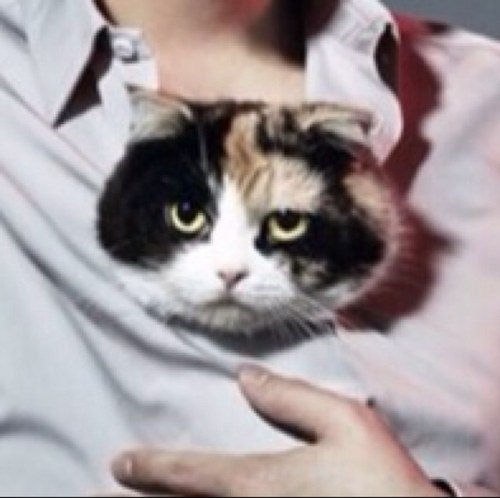 runrun_x_runrun's profile picture. 嵐アカっす。(*‘◇‘)相葉雅紀大好き{´◕ ◡ ◕｀}嵐大好きな34歳。。。