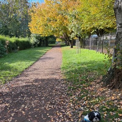 vaniamnunes's profile picture. 