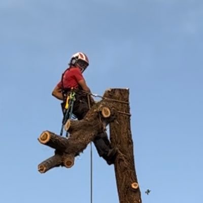 Gotembruh's profile picture. 