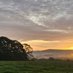Milner Field Farm Bingley ๐๐ฅ (@milnerfieldact1) Twitter profile photo Milner Field Farm Bingley ๐๐ฅ (@milnerfieldact1) Twitter profile photo