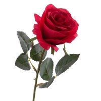 England Rugby Debate (@engrugbydebate) 's Twitter Profile Photo England Rugby Debate (@engrugbydebate) 's Twitter Profile Photo