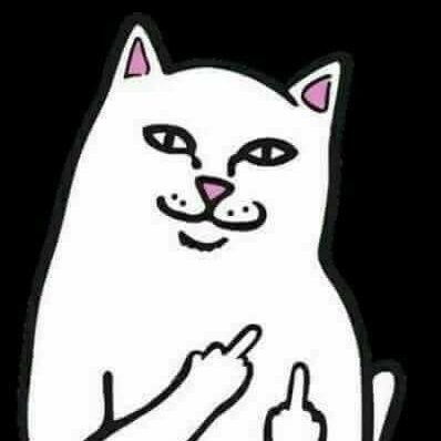 CNBCCNB's profile picture. 